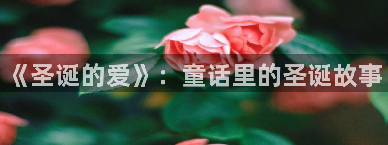 ww羞羞漫画