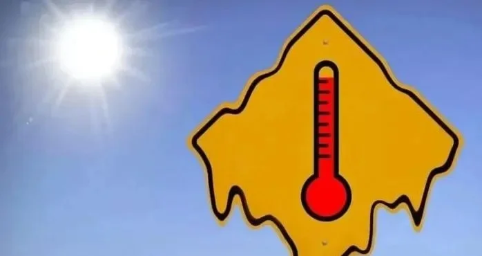 2025年什么东西天气越热爬的越高　你知道什么东西天气越热它爬到越高吗[偷笑]