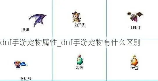 dnf手游宠物稀有度-dnf手游宠物稀有度解析
